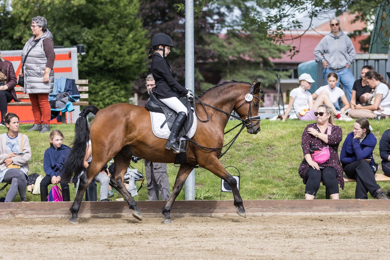 Bild 142 - Pony Akademie Turnier